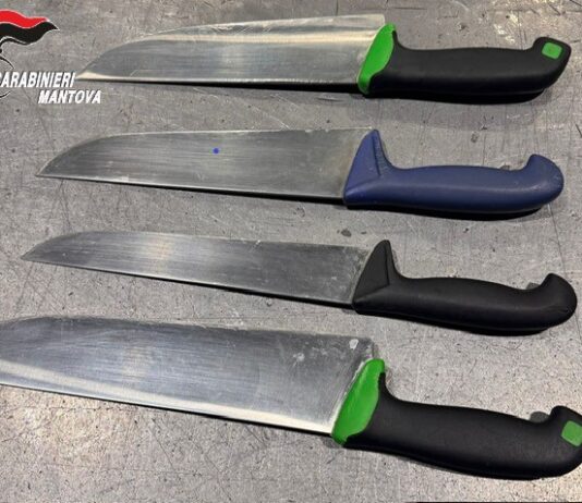 Notte di controlli per i Carabinieri: denunce per armi, documenti falsi e oltraggio