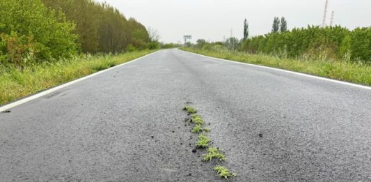 Revere: l’asfalto appena fatto si spacca… e spunta l’erba