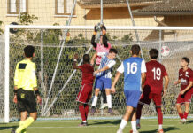 Calcio Prima Categoria – Olimpia, Mussetola suona la carica: “Rialziamoci col Castelvetro”