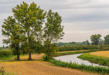 Canneto: il Gal Terre d’Acqua rilancia il turismo