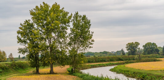 Canneto: il Gal Terre d’Acqua rilancia il turismo
