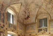 “Amori a cielo aperto, segreti in bella vista”: la vita intima degli alberi in mostra a Bosco Fontana