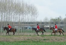 Apprezzata la “Paper Hunt” a Borgoforte, ovvero la caccia alla volpe… ma di carta