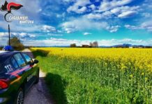 Serie di furti dalla cassa automatica di una lavanderia, denunciata una 26enne a Castiglione