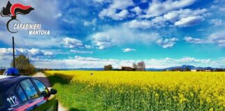 Serie di furti dalla cassa automatica di una lavanderia, denunciata una 26enne a Castiglione