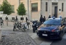 Controlli i dei Carabinieri davanti alle scuole del Mantovano: pattuglie e unità cinofile in campo