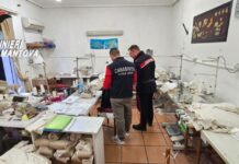 Irregolarità in un laboratorio tessile: denunciata titolare