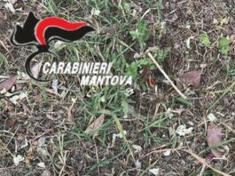 Lancia “spazzatura” dal finestrino: nell’involucro 5 panetti di hashish