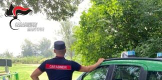 Sequestri e prescrizioni per animali detenuti in condizioni irregolari