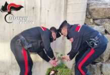 Rapina col machete in sala slot, stangata per i due banditi