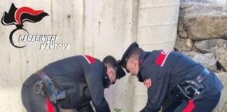 Rapina col machete in sala slot, stangata per i due banditi