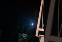Rumori sospetti sul balcone: i Carabinieri intervengono e salvano un gattino
