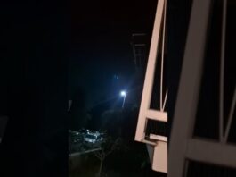 Rumori sospetti sul balcone: i Carabinieri intervengono e salvano un gattino