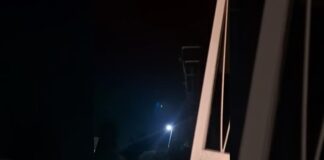 Rumori sospetti sul balcone: i Carabinieri intervengono e salvano un gattino