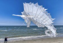 A Pinarella il festival Internazionale dell’Aquilone