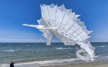 A Pinarella il festival Internazionale dell’Aquilone