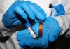 Hantavirus, negativi i test analizzati a Milano e allo Spallanzani