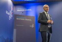 Salmone norvegese, crescita dei consumi in Italia e nuove tendenze del mercato