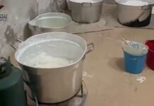 Dall’Ecuador al litorale laziale, smantellato cartello della cocaina
