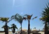 Marina di Pietrasanta, inaugurato il Tala Beach. Più di mille gli ospiti
