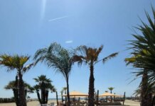 Marina di Pietrasanta, inaugurato il Tala Beach. Più di mille gli ospiti
