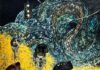 L’esposizione “Piccolo mondo antico” alla Galleria del Premio