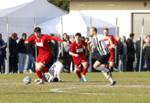 Calcio Prima Categoria – Bozzolini (Dinamo Gonzaga): “Marmirolo osso duro, ma noi vogliamo vincere”