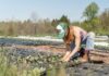 “Celebrating Women in Agriculture”, webinar dedicato all’imprenditoria femminile in agricoltura
