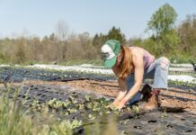 “Celebrating Women in Agriculture”, webinar dedicato all’imprenditoria femminile in agricoltura