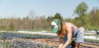 “Celebrating Women in Agriculture”, webinar dedicato all’imprenditoria femminile in agricoltura
