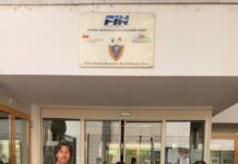 Tuffi – I baby della Mincio brillano a Bolzano