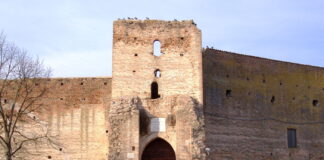 Sta per gettarsi nel Molinella a Castel d’Ario, salvata dall’assessore