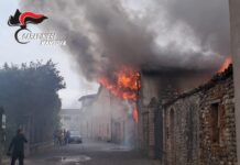 Paura a Medole, fiamme vicino ai pali della luce in via Sabbionare