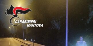 Auto fuori strada in viale Mincio: 36enne finisce contro un palo