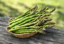 Sagra dell’Asparago a San Benedetto Po: weekend tra sapori, eventi e tradizioni