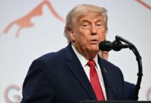 Trump “Meloni vuole tornare amica per far risalire i suoi consensi, no grazie”