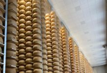 Magazzini Generali Fiduciari inaugurano il nuovo magazzino C: +54mila posti forma