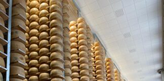 Magazzini Generali Fiduciari inaugurano il nuovo magazzino C: +54mila posti forma