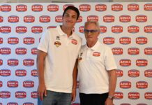 Basket Serie B Interregionale – Stings Mantova e Amica Chips ancora insieme per il nuovo anno