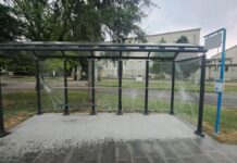 Roncoferraro, vandalizzati pensilina del bus, cartelli della rotonda e cestini