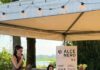 Concerti, cultura, benessere e aggregazione: presentati i cartelloni della Zanzara e del Drasso Park