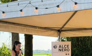 Concerti, cultura, benessere e aggregazione: presentati i cartelloni della Zanzara e del Drasso Park
