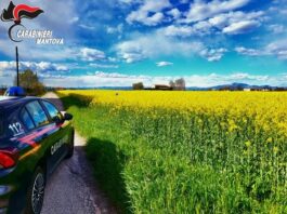 Fuga a tutta velocità: quattro pusher arrestati dopo l’inseguimento a Castel d’Ario