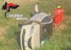 San Benedetto Po, sterzata improvvisa per evitare lo scontro: auto esce di strada, ferita una 34enne