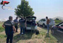 Giro di vite sul caporalato nel Mantovano: maxi sanzioni e due aziende agricole sospese a Viadana e Roverbella
