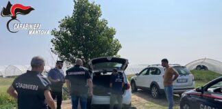 Giro di vite sul caporalato nel Mantovano: maxi sanzioni e due aziende agricole sospese a Viadana e Roverbella