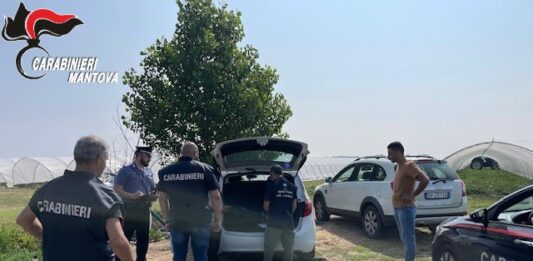 Giro di vite sul caporalato nel Mantovano: maxi sanzioni e due aziende agricole sospese a Viadana e Roverbella