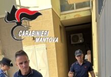 Sicurezza nel territorio: maxi‑operazione dei Carabinieri, dieci denunce e sanzioni