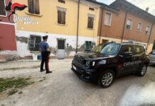 Rubava i libri della scuola dell’infanzia: denunciata una cuoca 32enne