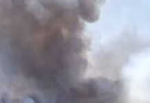 Mietitrebbia si surriscalda: vasto incendio nella campagne tra Gazzo Veronese e Villimpenta
